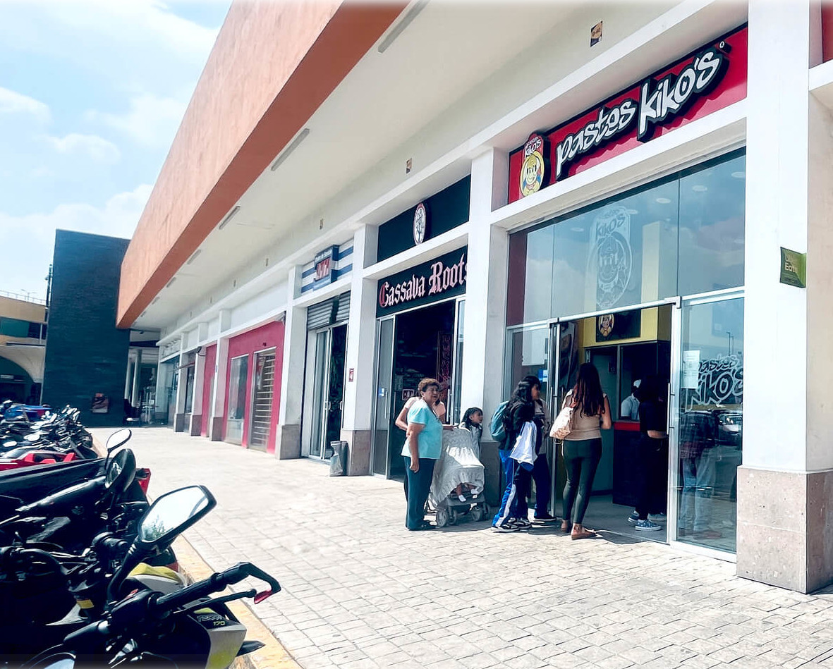 Modelo de Negocio en Plazas Comerciales